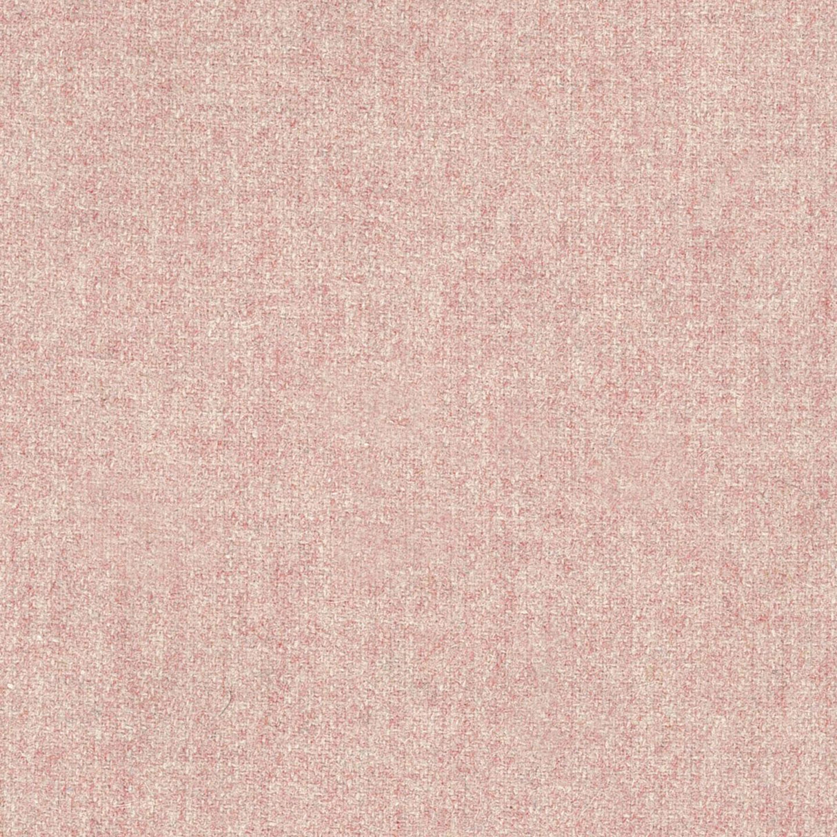 Wooland 03