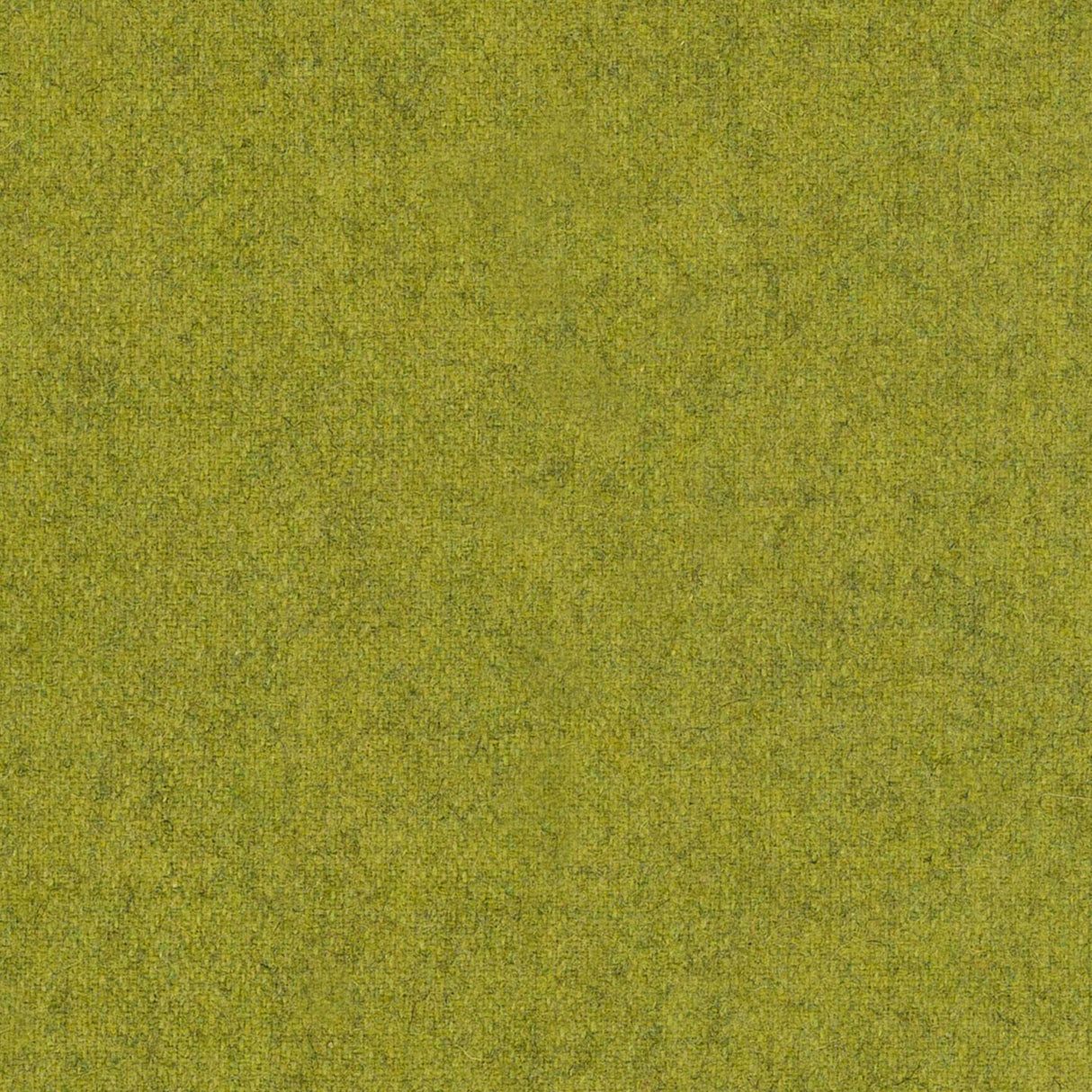 Wooland 08
