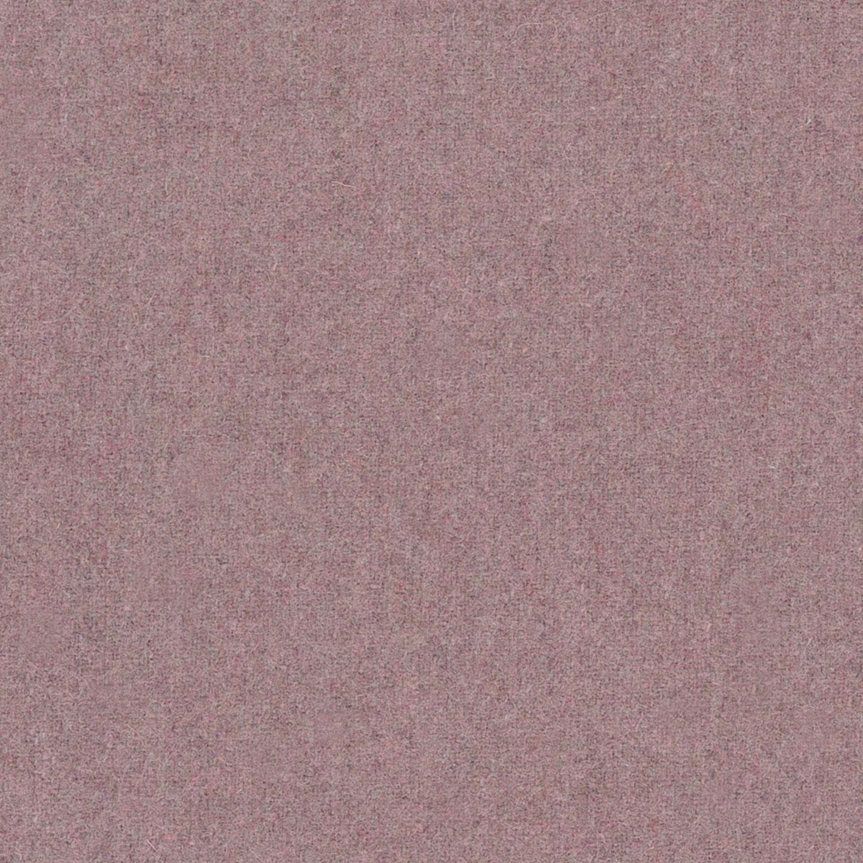Wooland 109