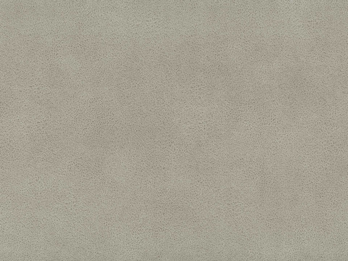 Alamo 06