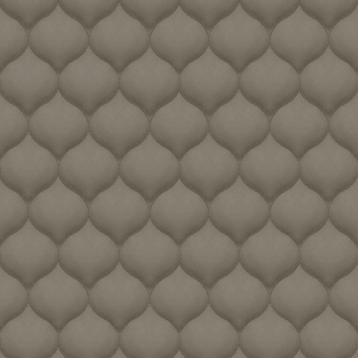 Amsterdam Lemon 64