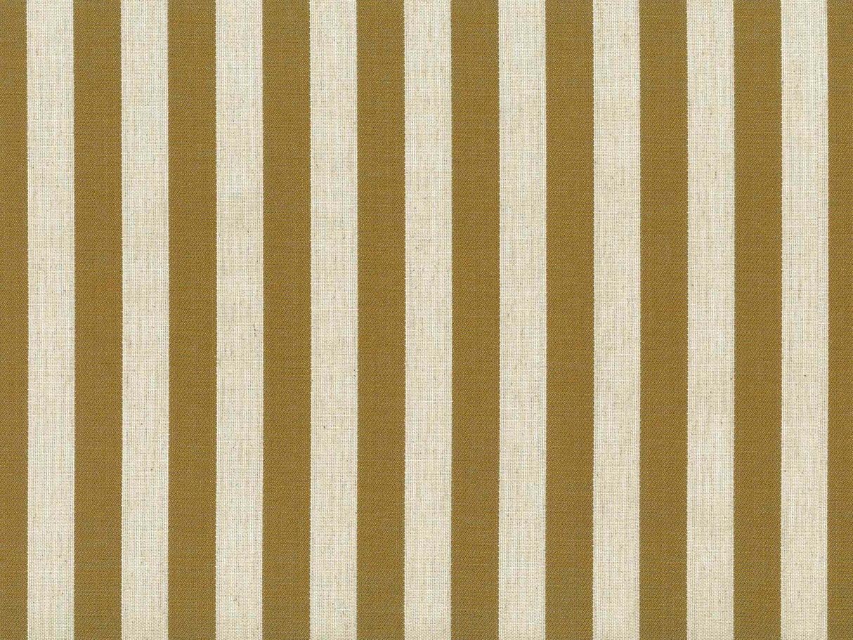 Belvedere Stripe 25