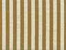 Belvedere Stripe 25