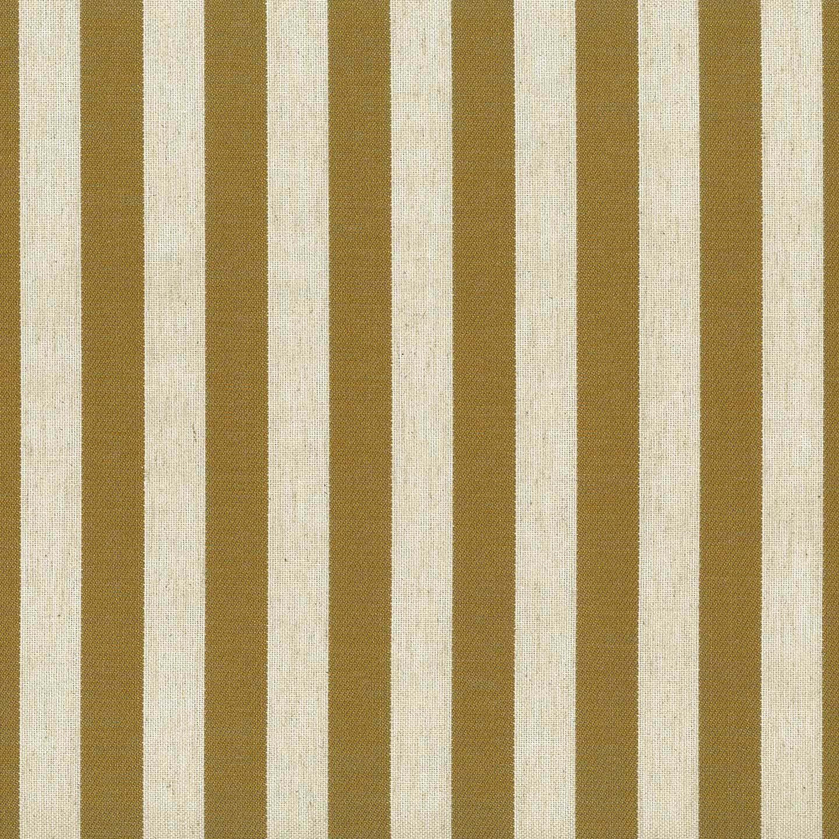 Belvedere Stripe 25