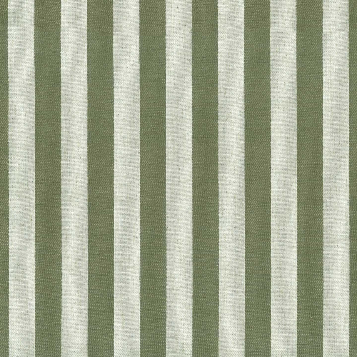 Belvedere Stripe 38