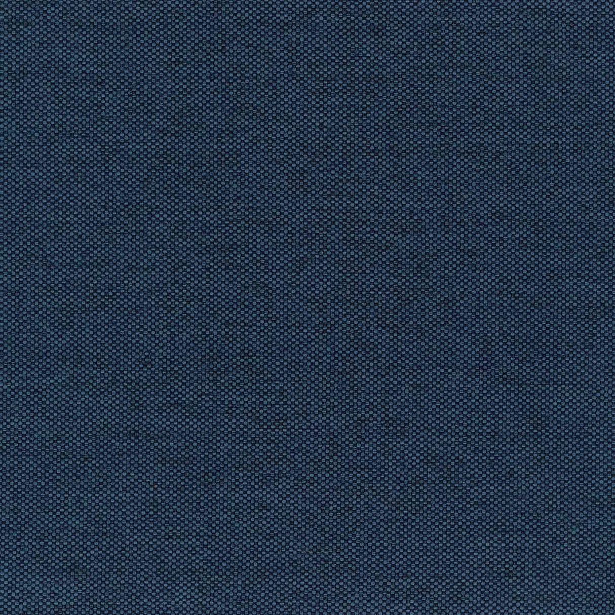 Bombay 37