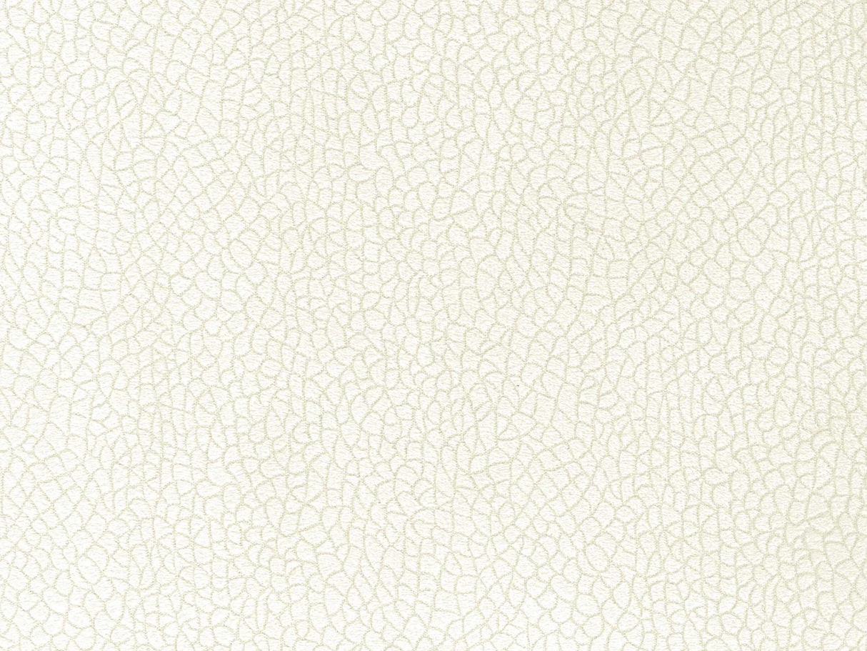 Bora Terra 01