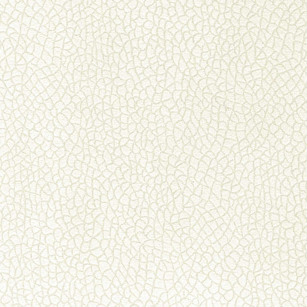 Bora Terra 01