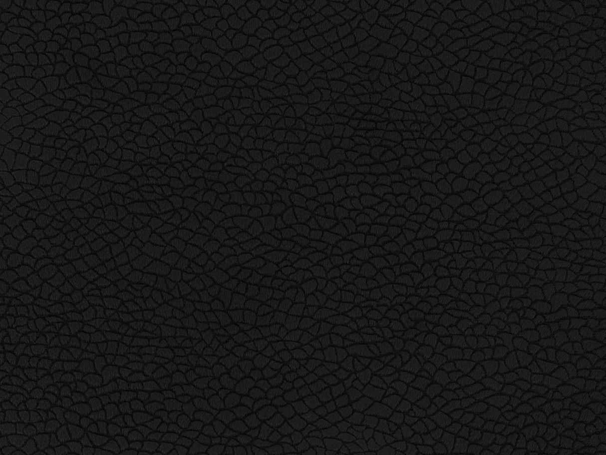 Bora Terra 02