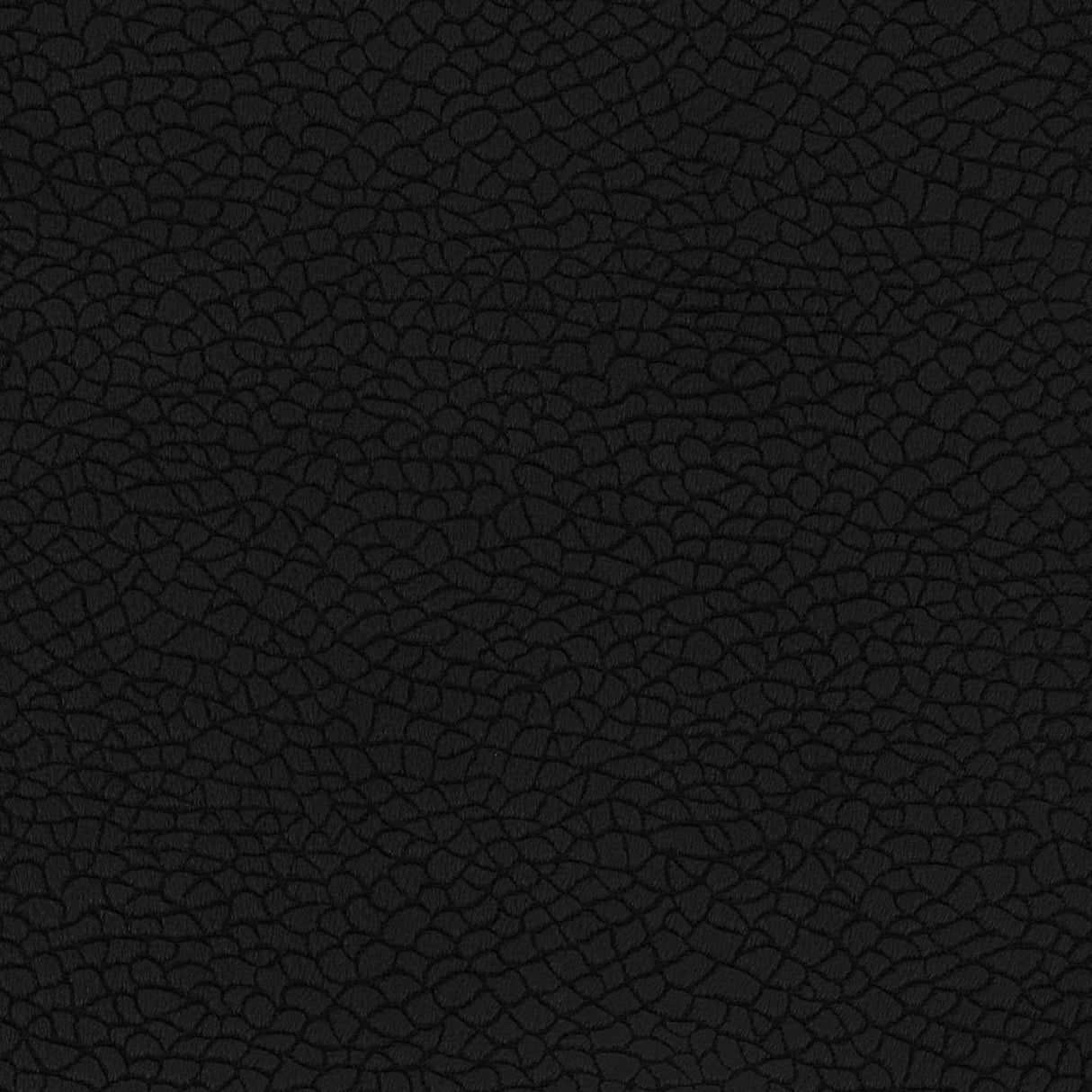 Bora Terra 02