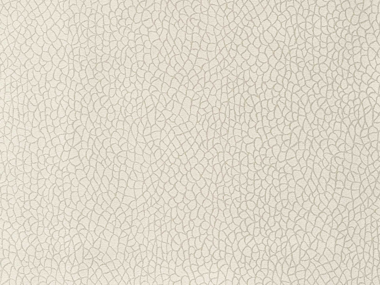 Bora Terra 04