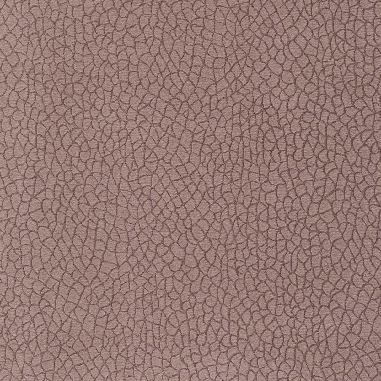 Bora Terra 13