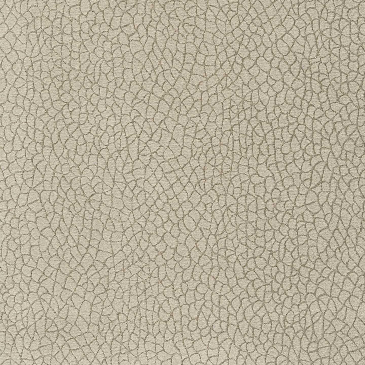 Bora Terra 14