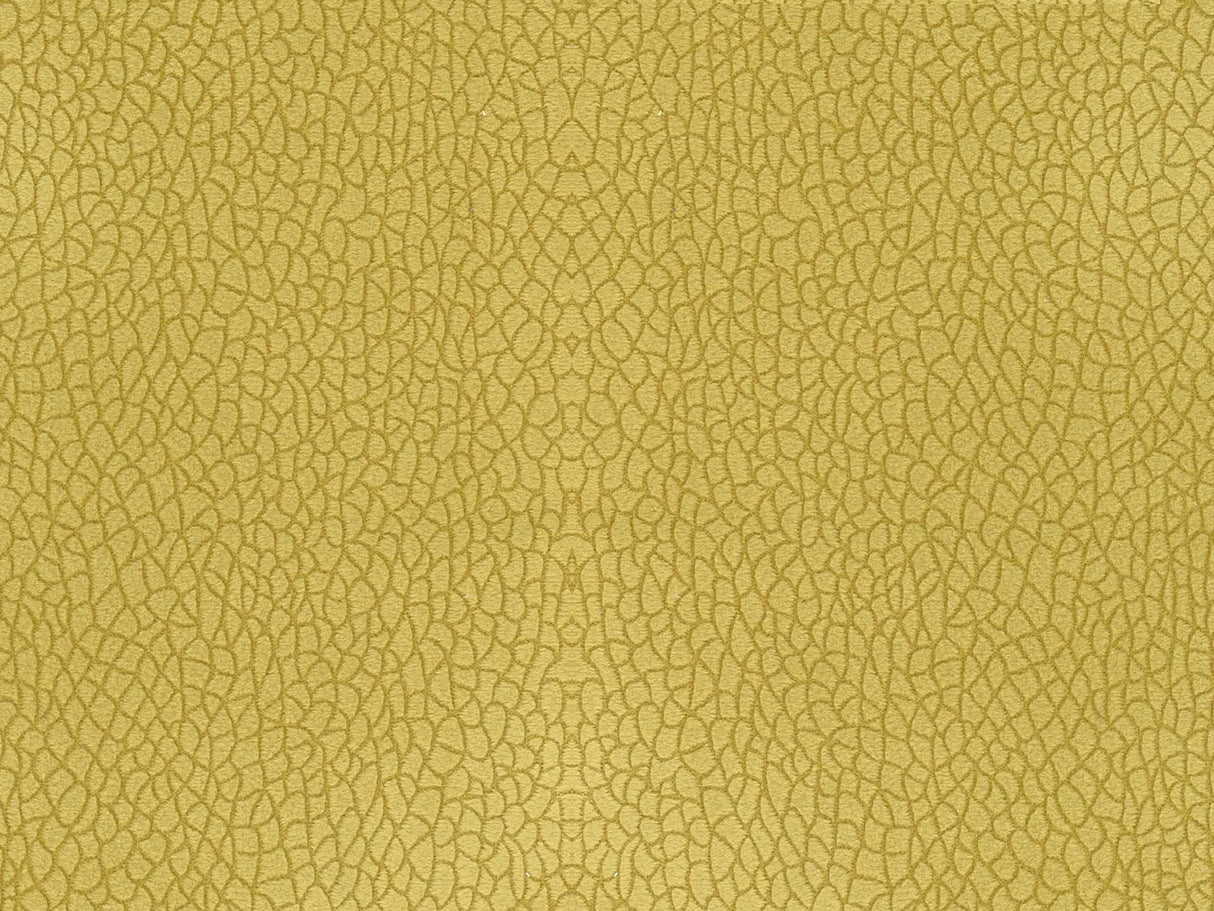Bora Terra 25