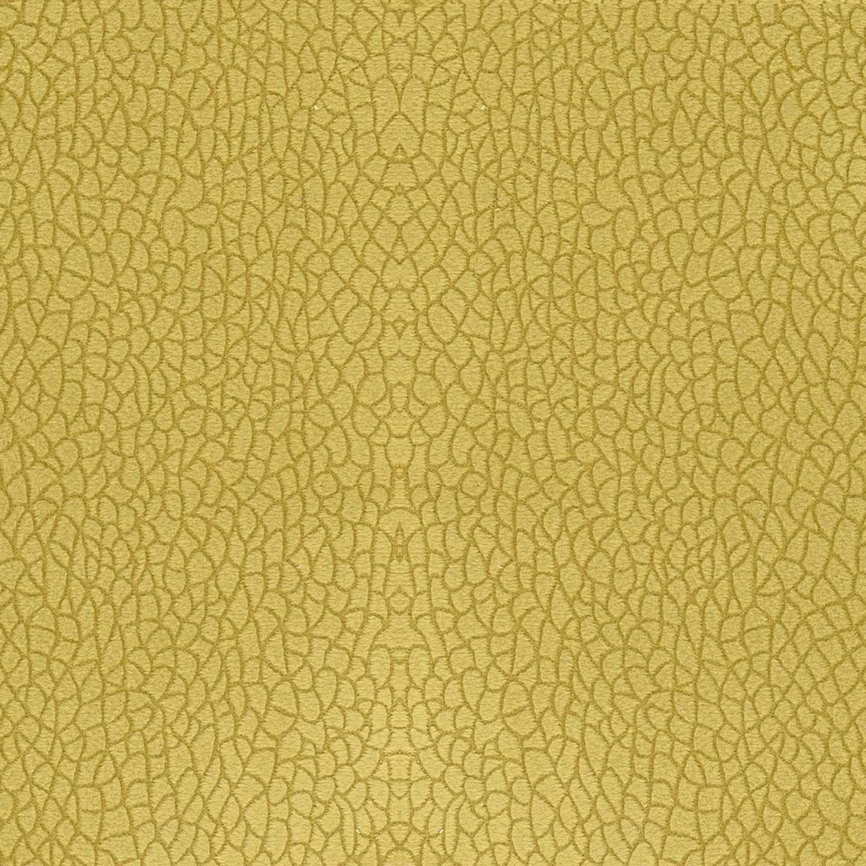 Bora Terra 25