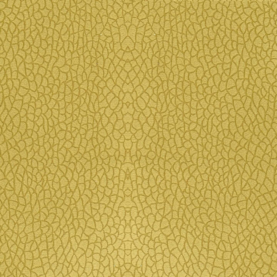 BORA TERRA