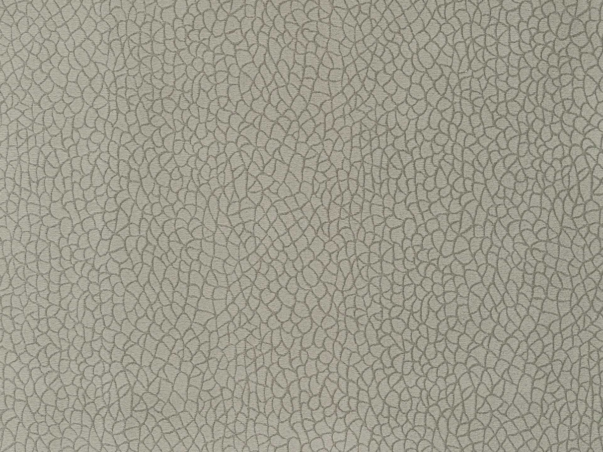 Bora Terra 34