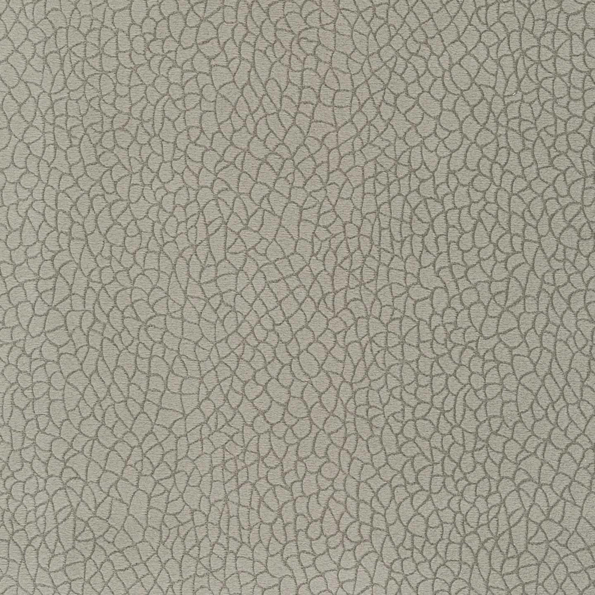 Bora Terra 34