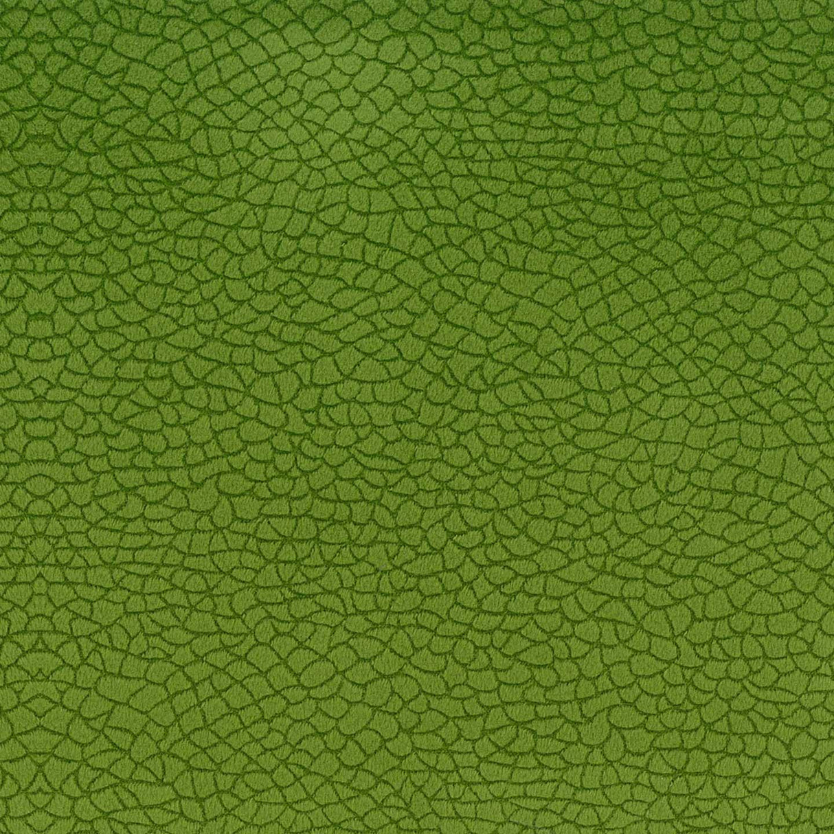 Bora Terra 38