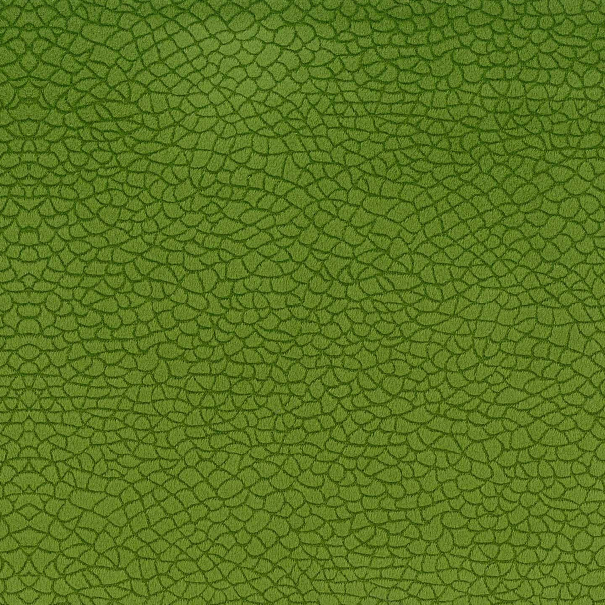 Bora Terra 38