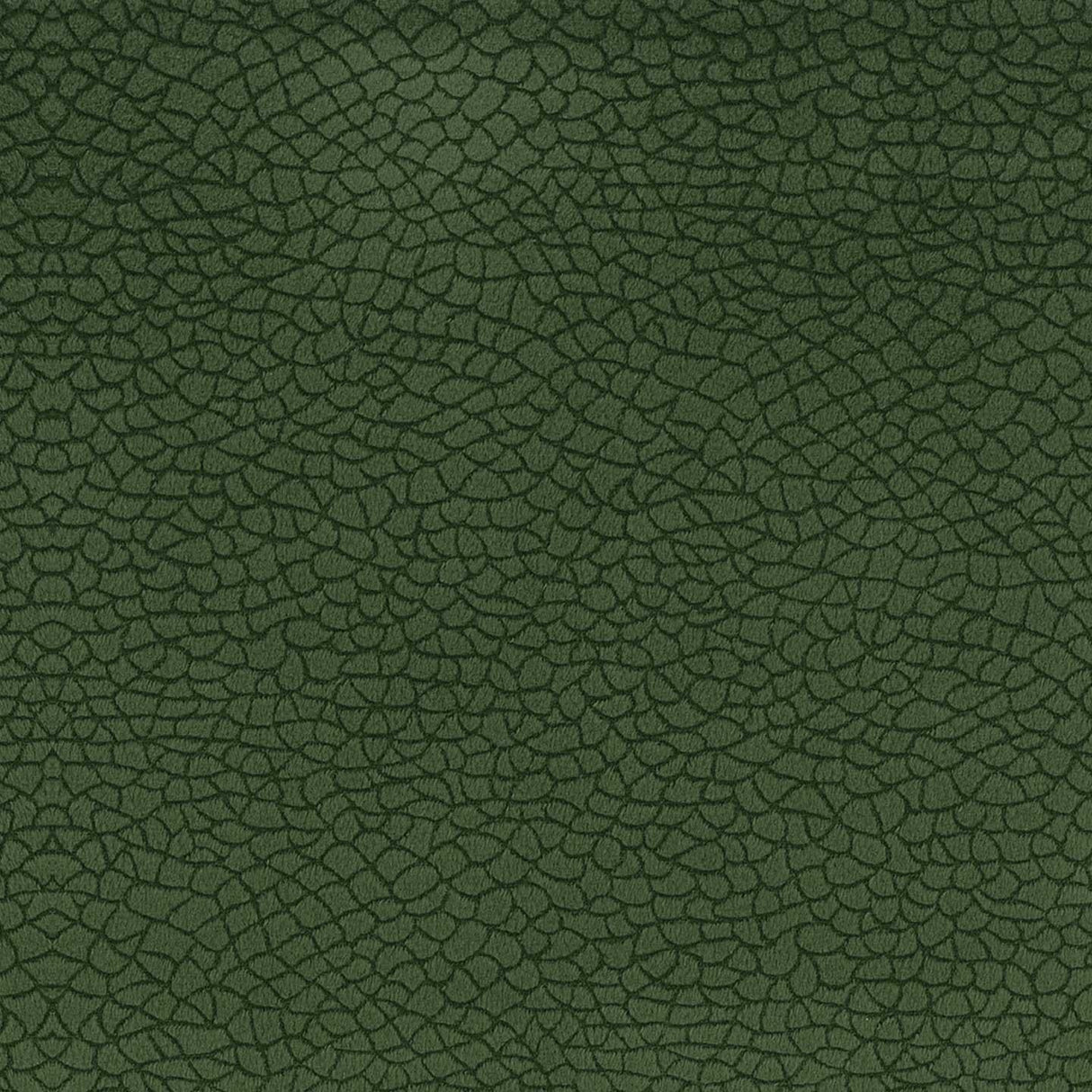 Bora Terra 48