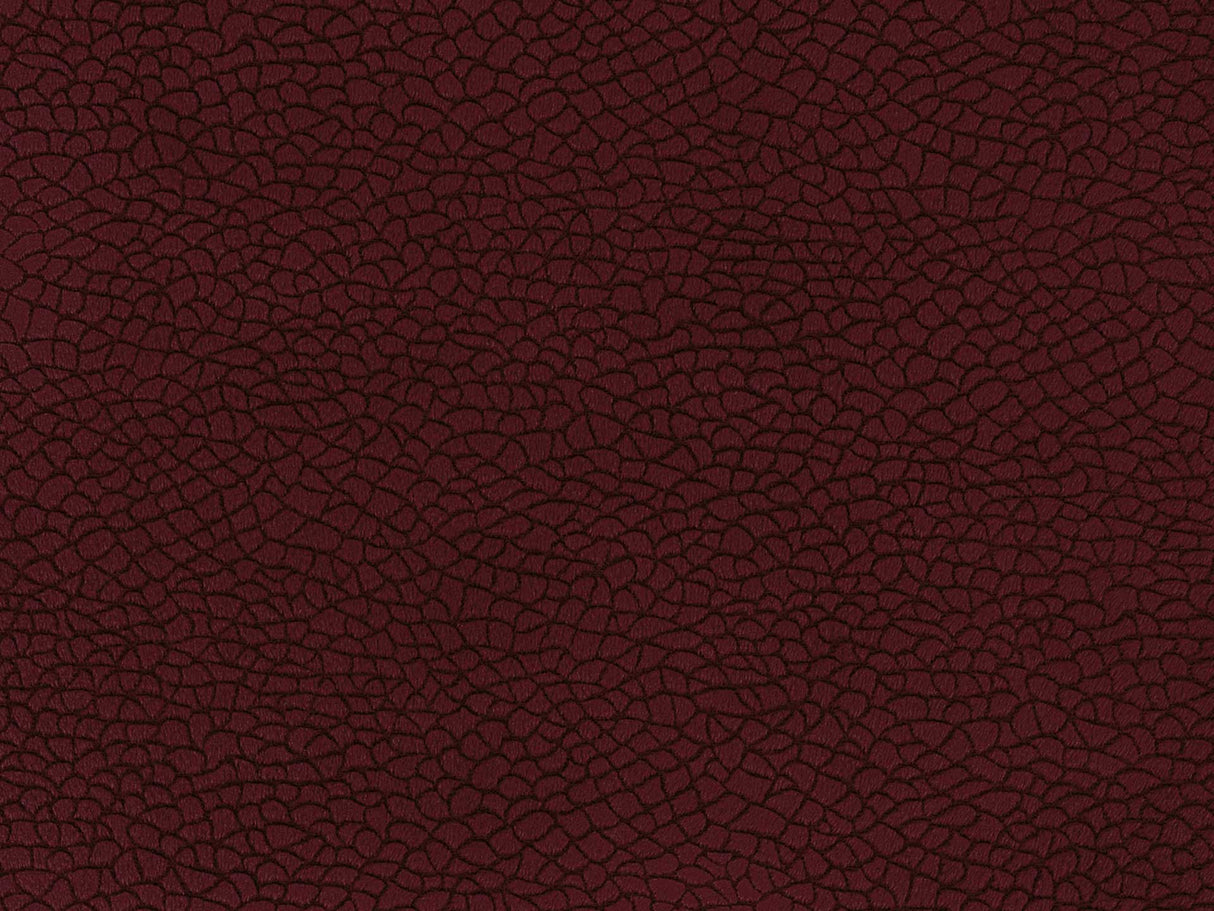 Bora Terra 53