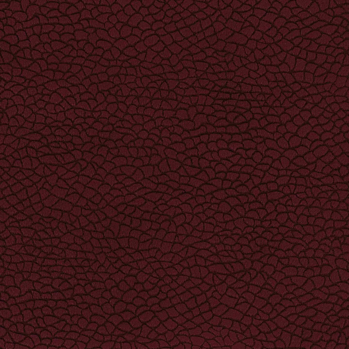 Bora Terra 53