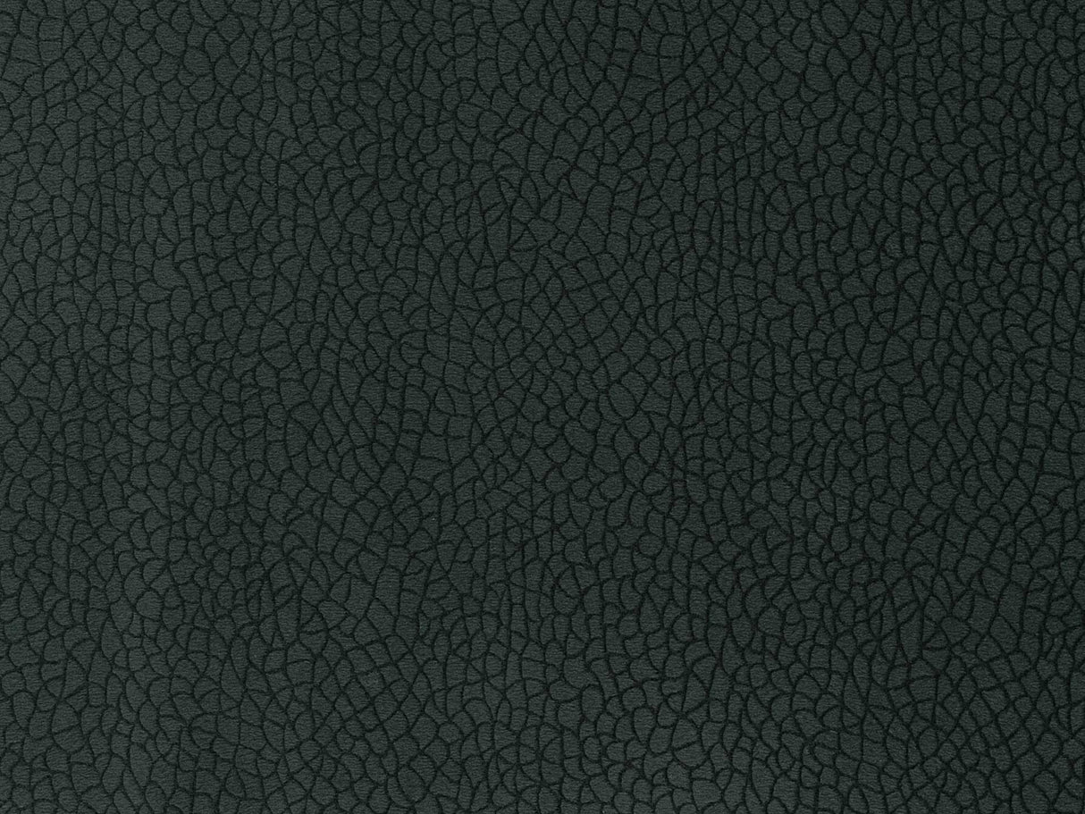 Bora Terra 56