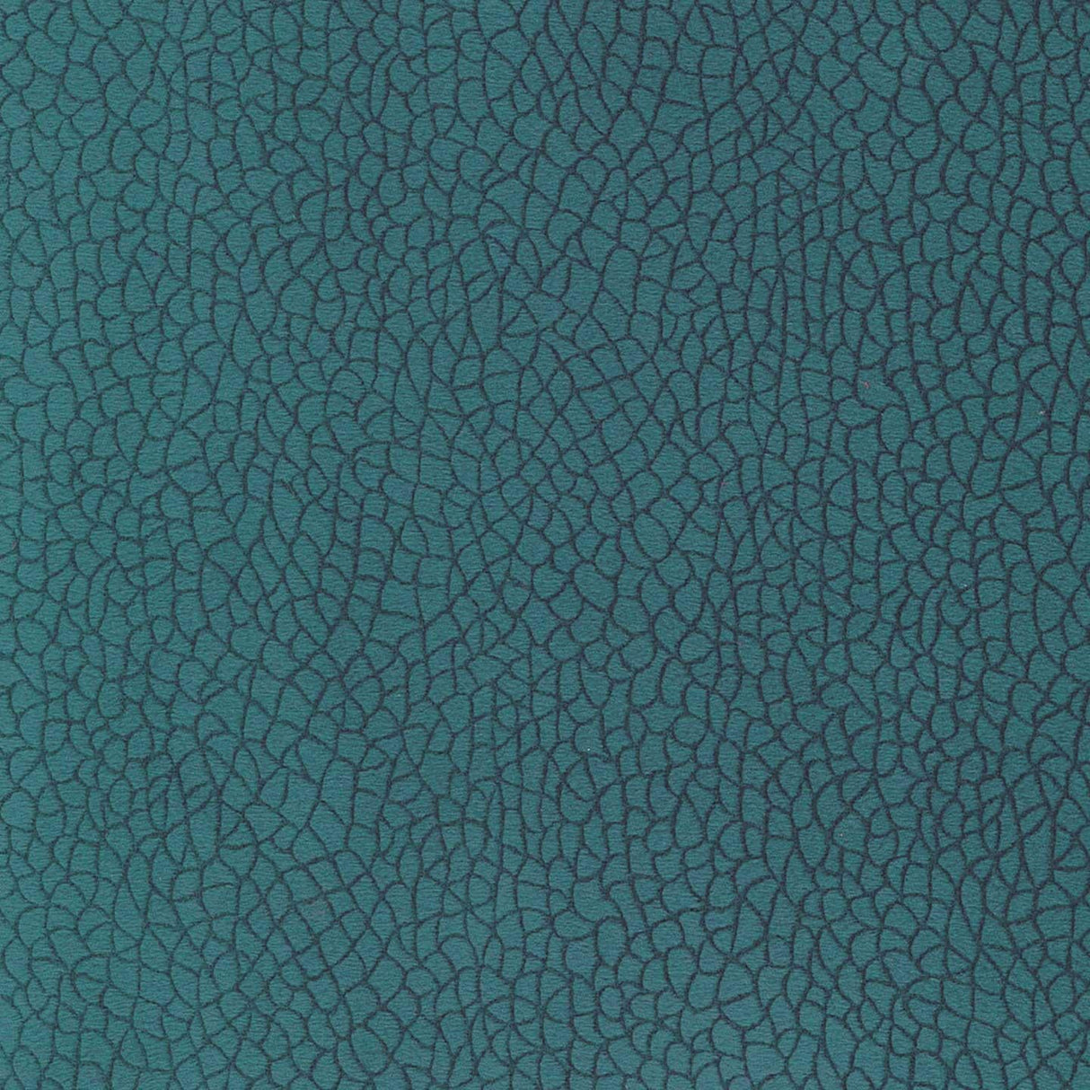 Bora Terra 57