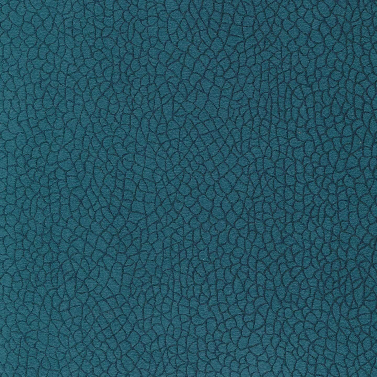 Bora Terra 67