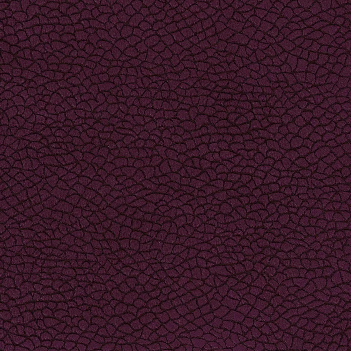 Bora Terra 79