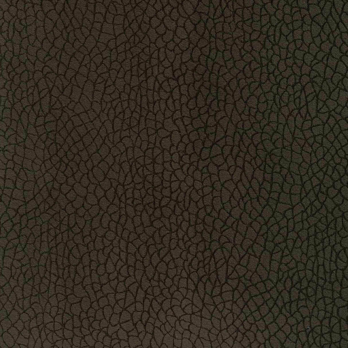 Bora Terra 84