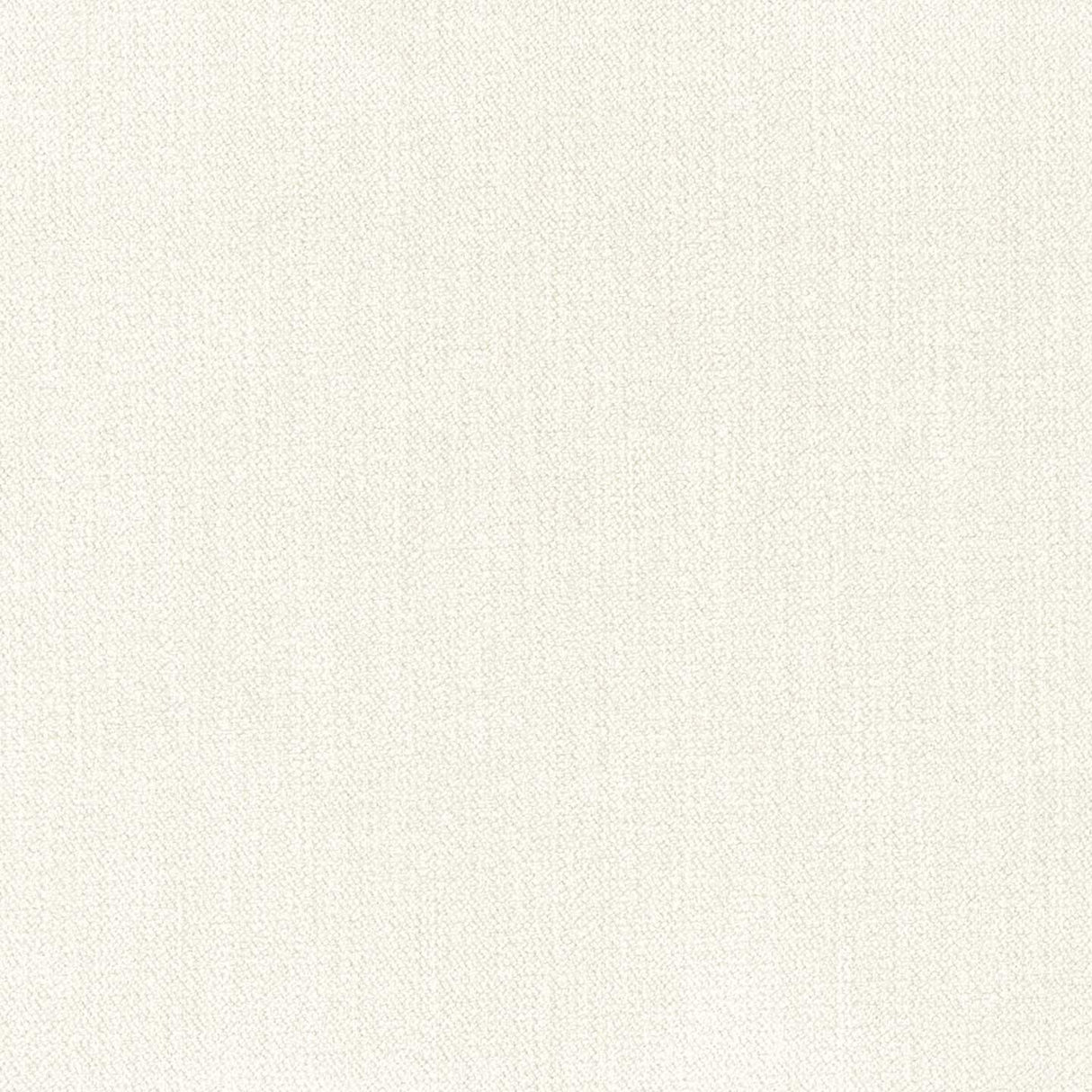 Chenille 01