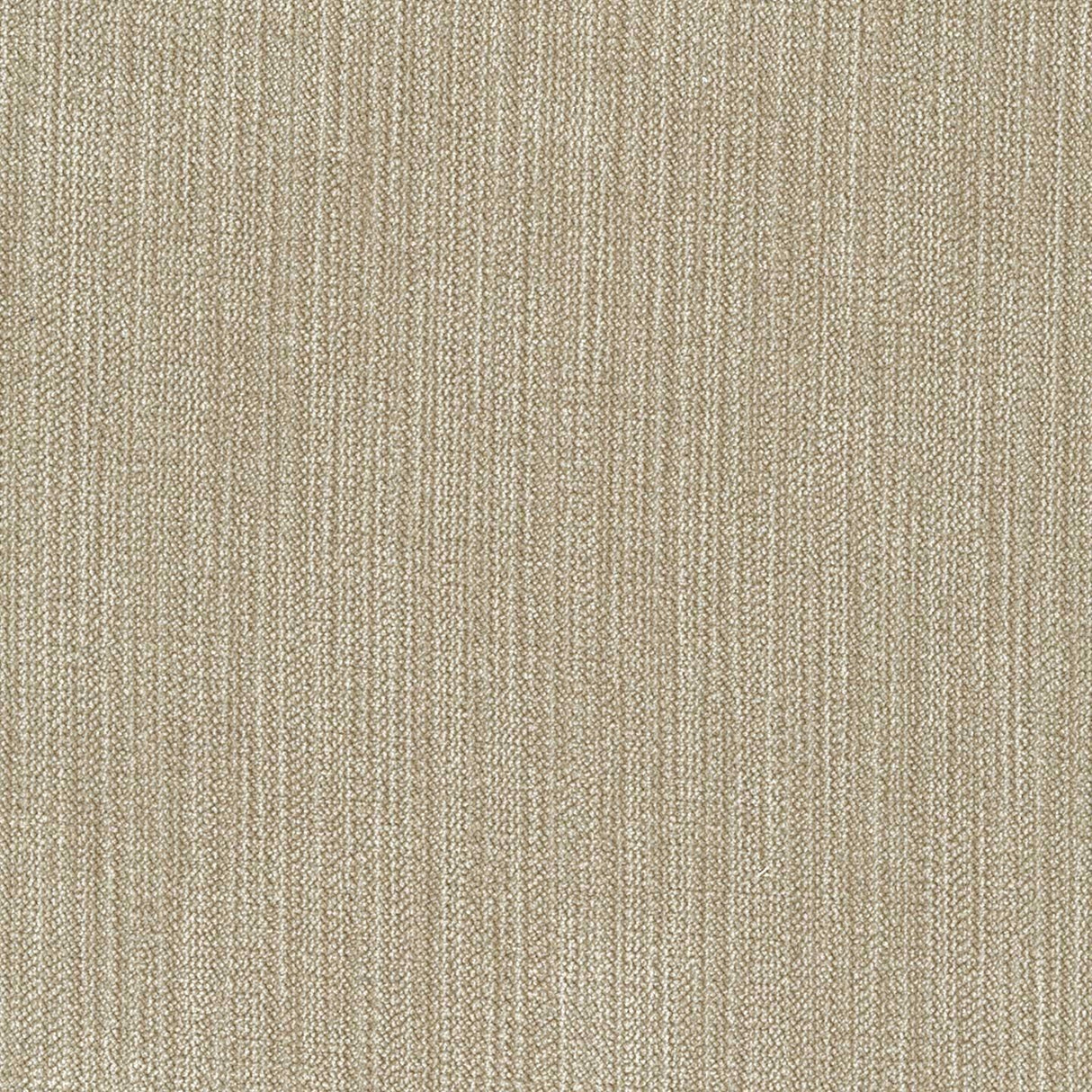 Chenille 24
