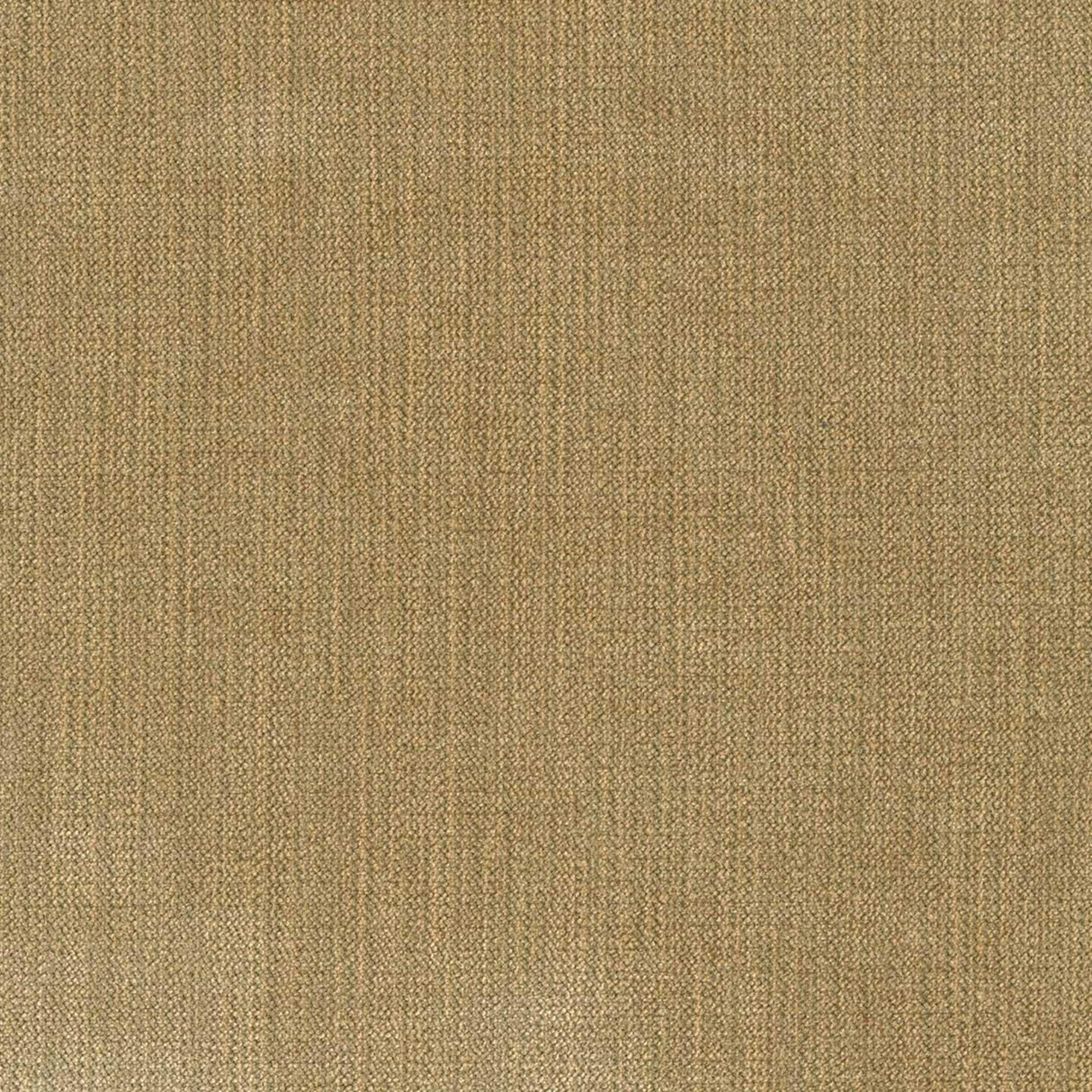 Chenille 34