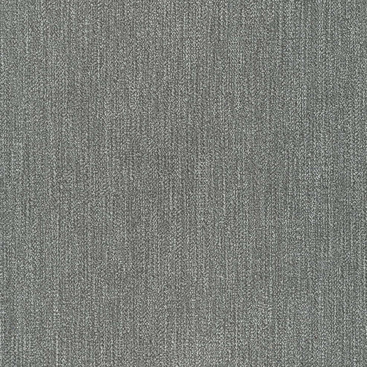 Chenille 36