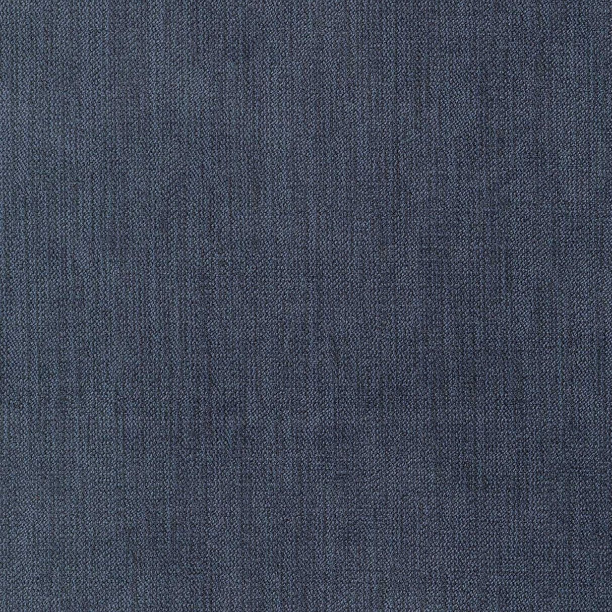 Chenille 37