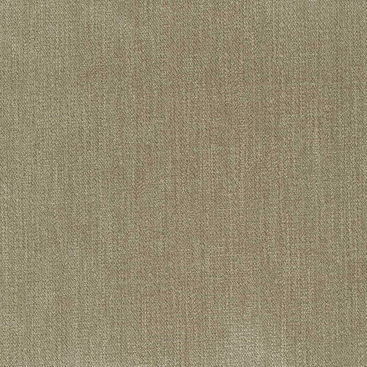 Chenille 44