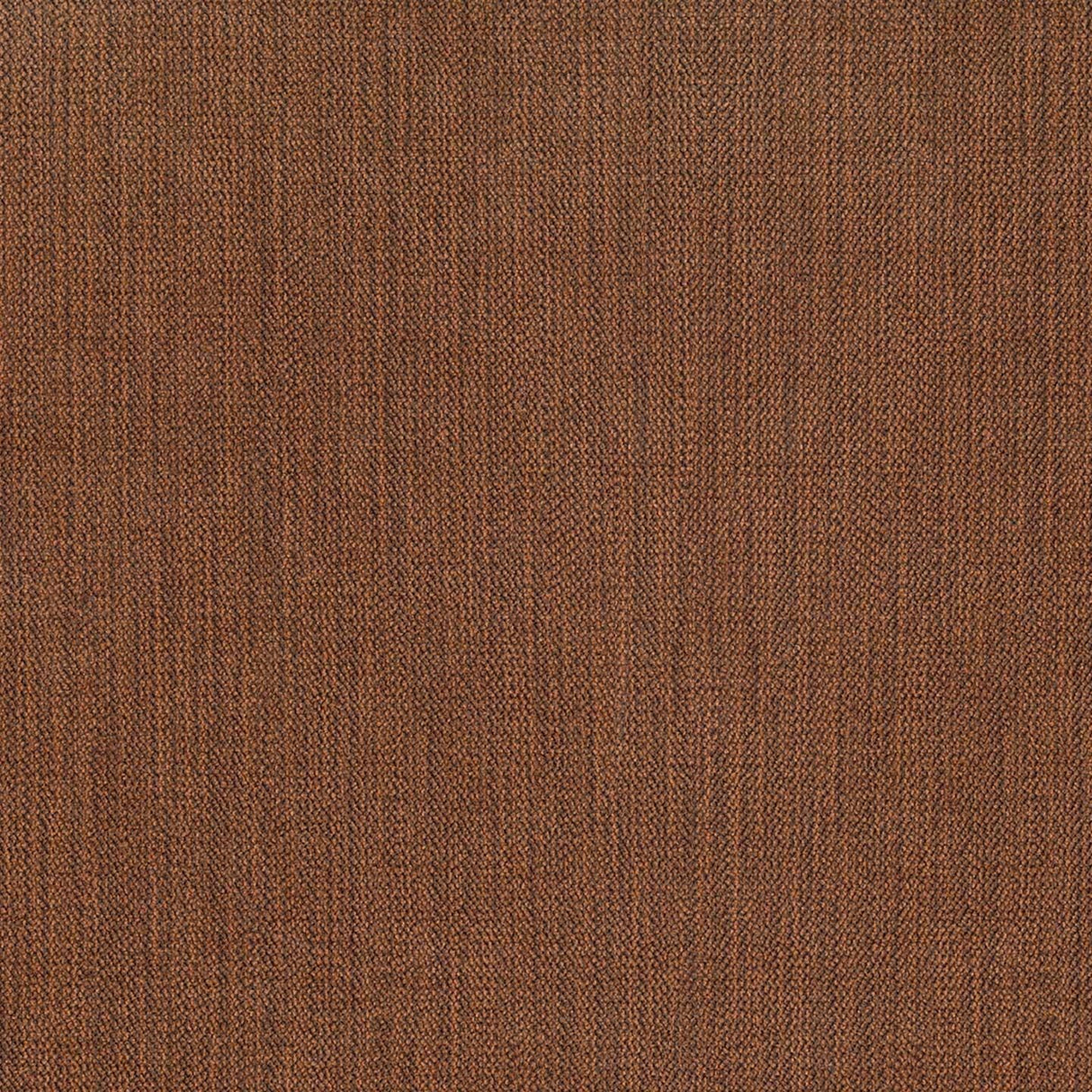 Chenille 49