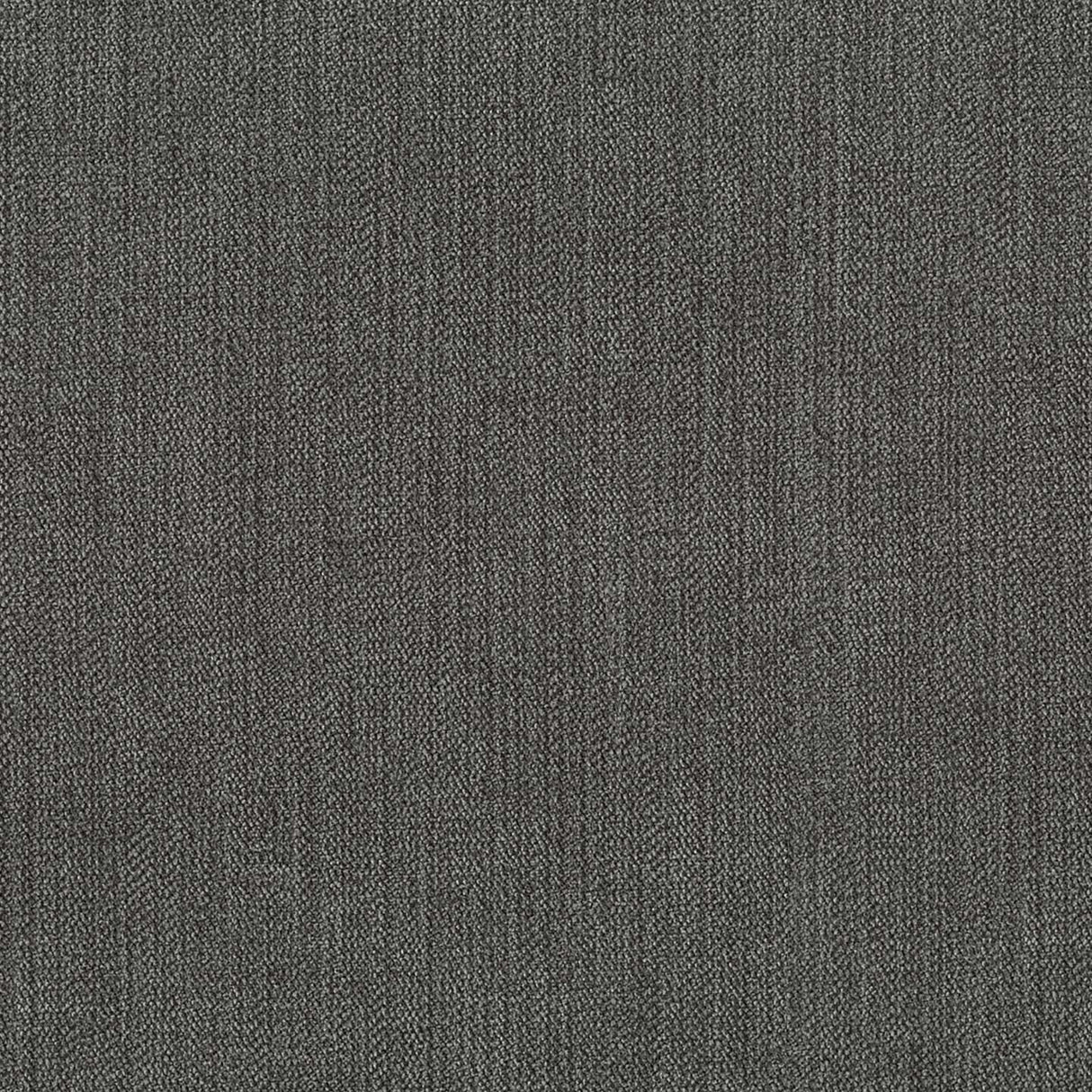 Chenille 56