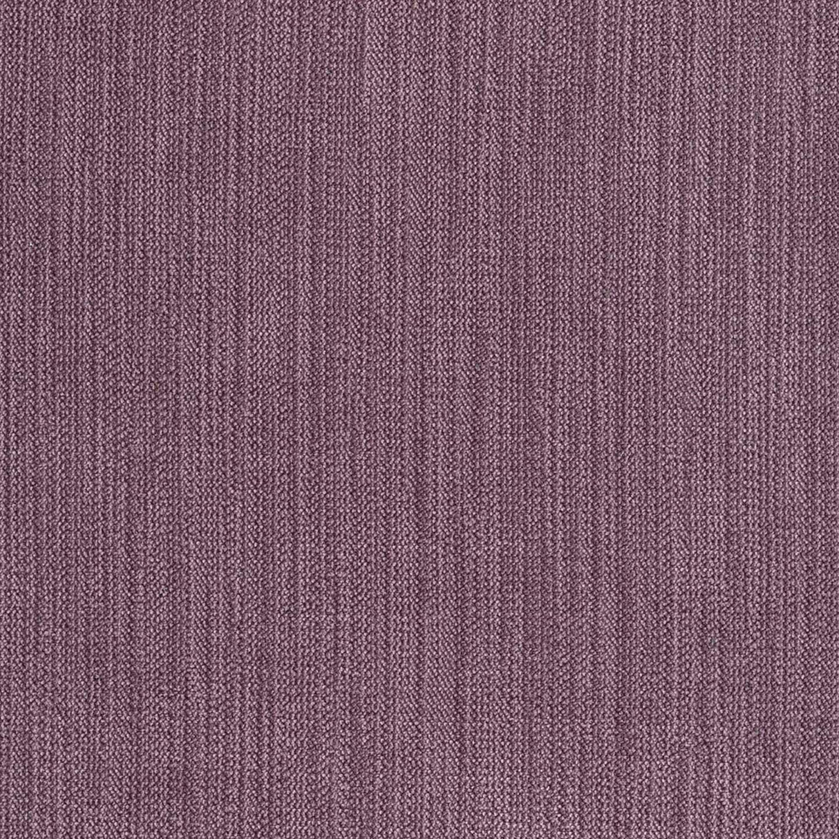 Chenille 69