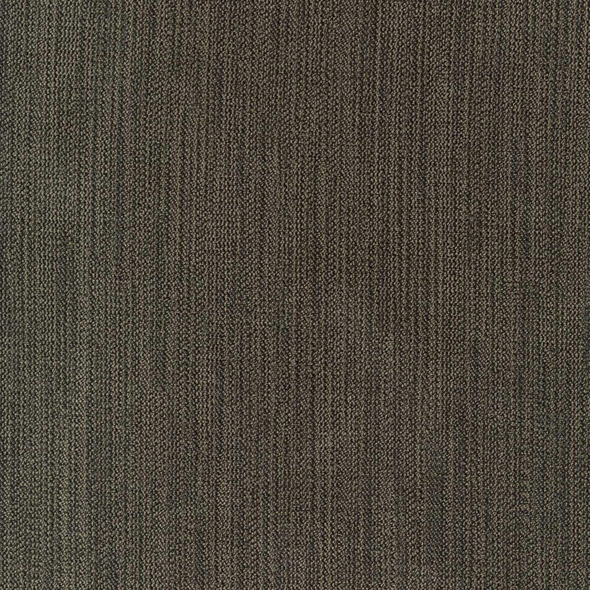Chenille 74