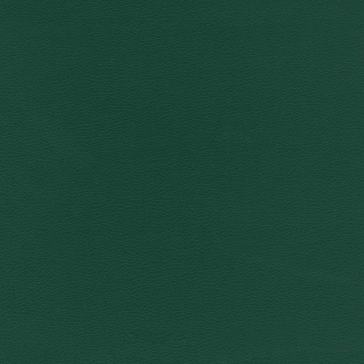 Florida 888