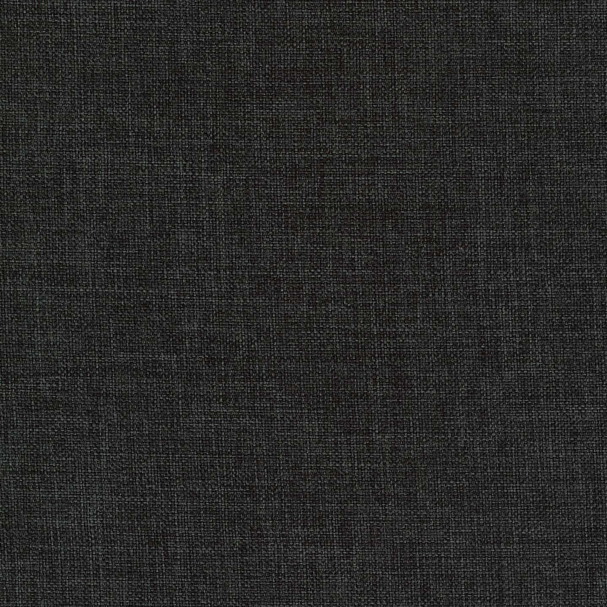 Fortis 56