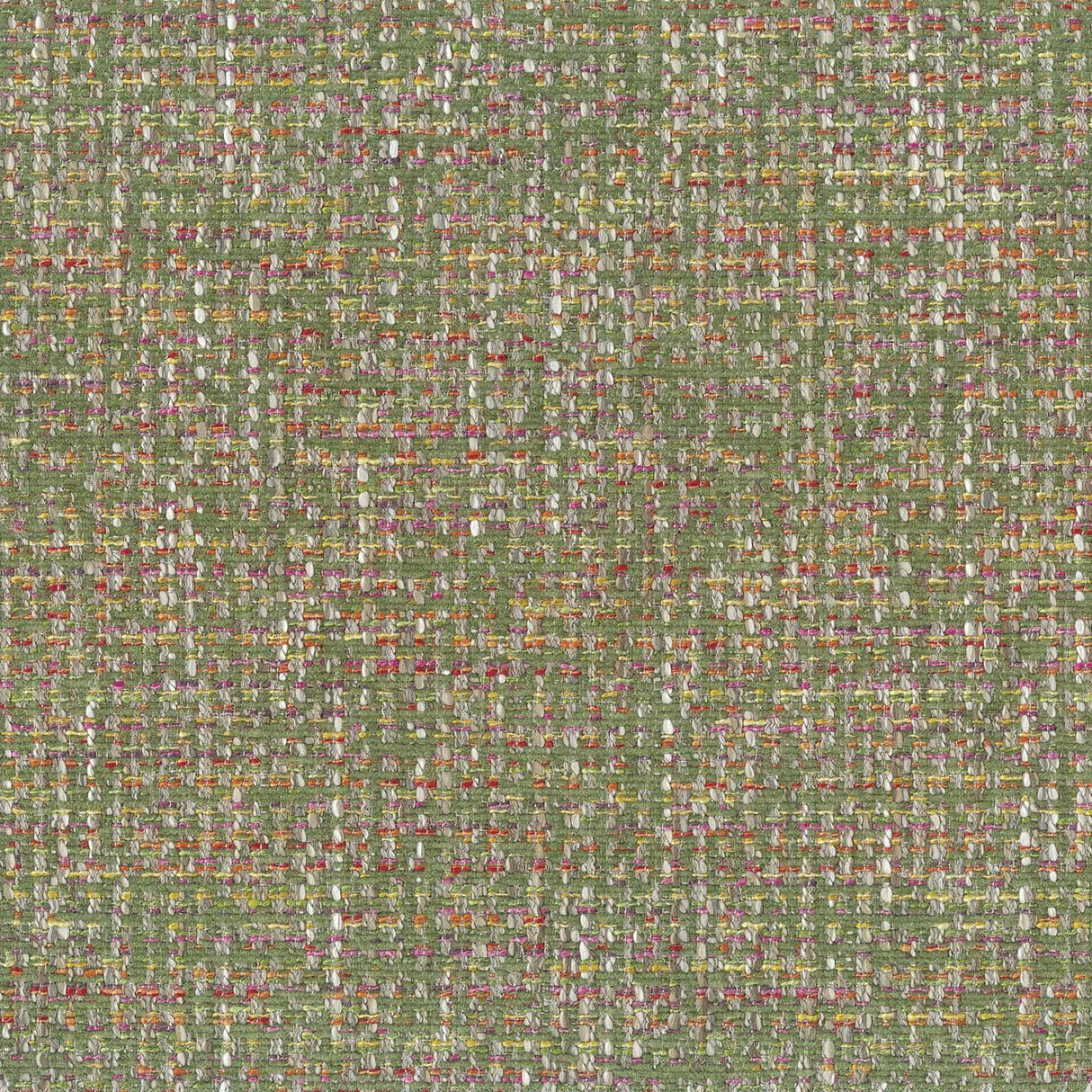 Norma 38