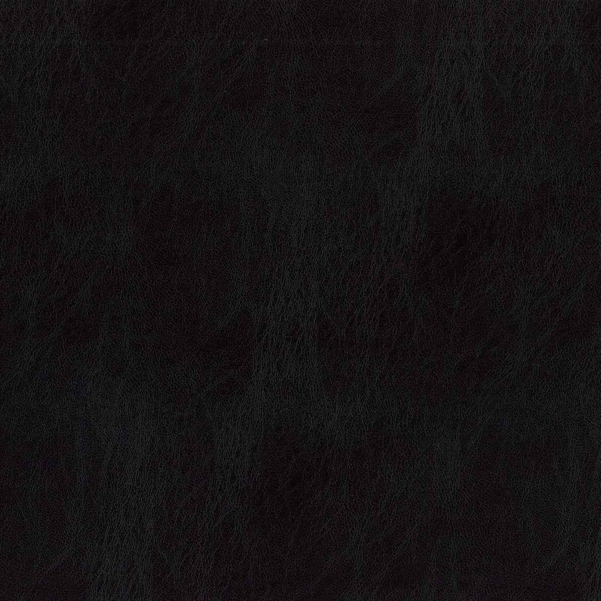 Ocean 02
