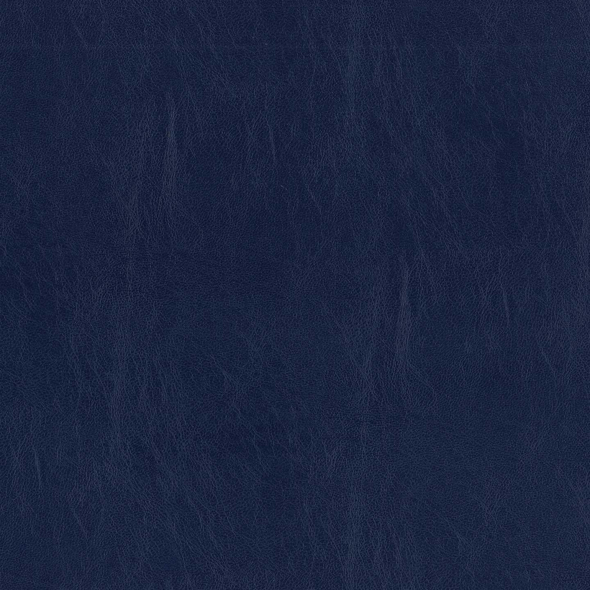 Ocean 47