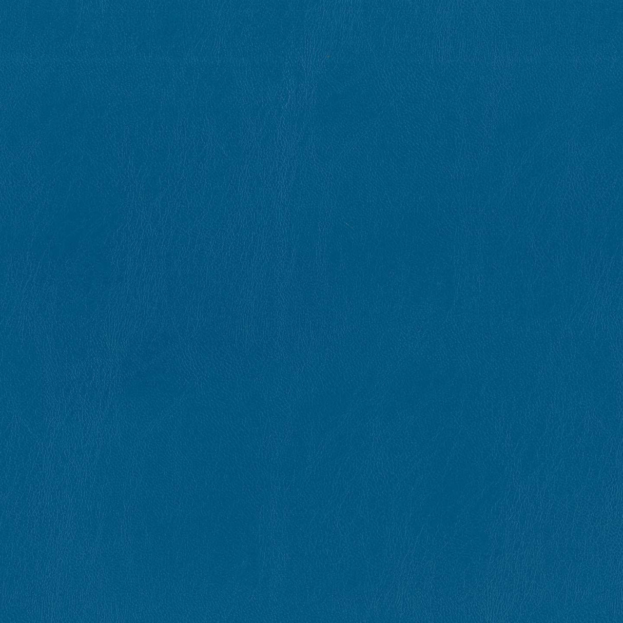 Ocean 57