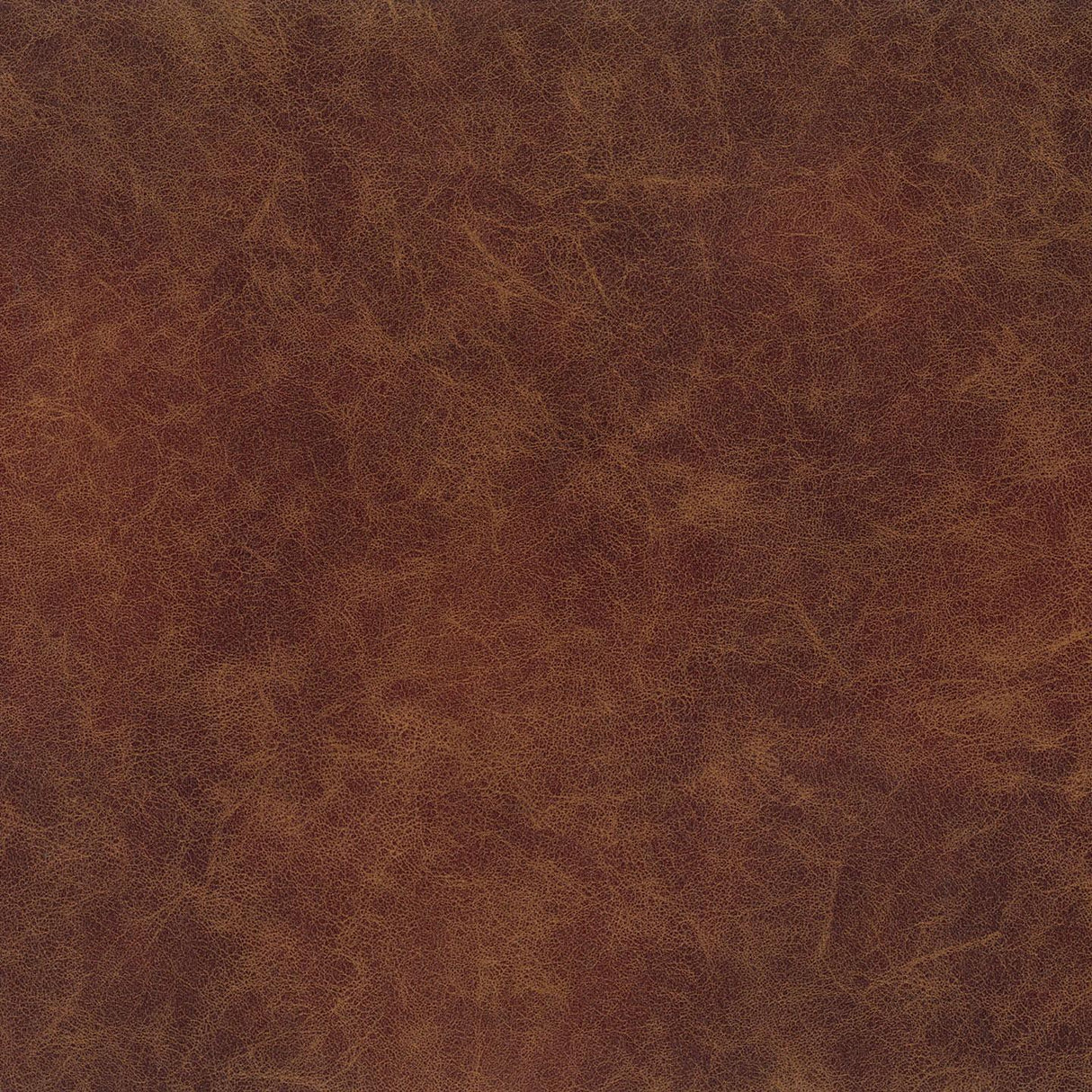 Oxford 64