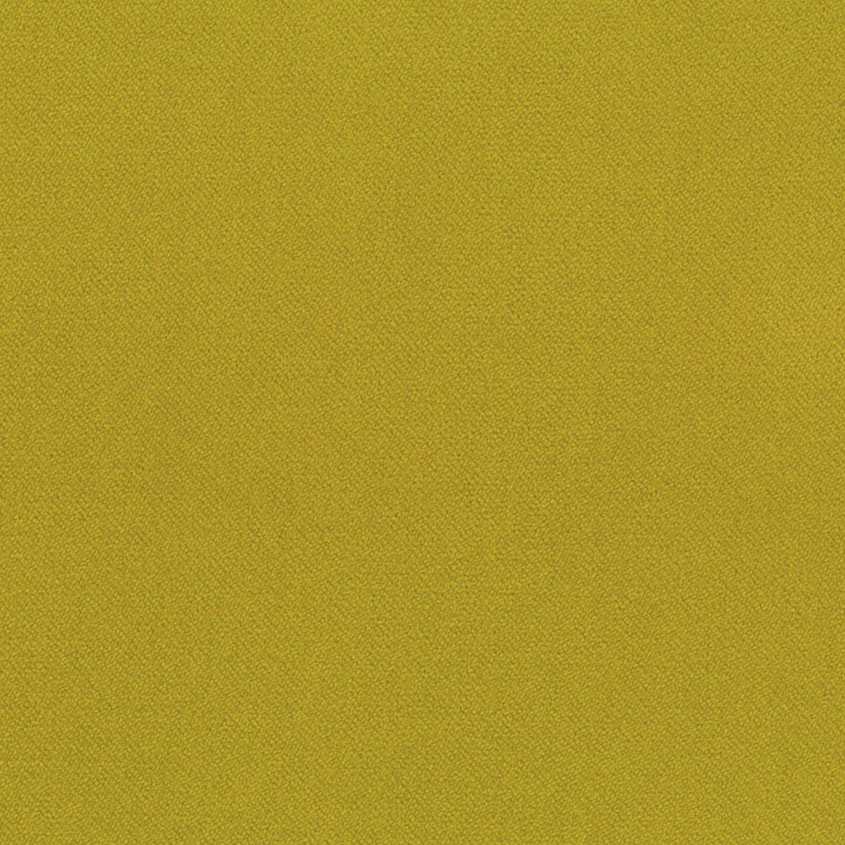 Piano 15